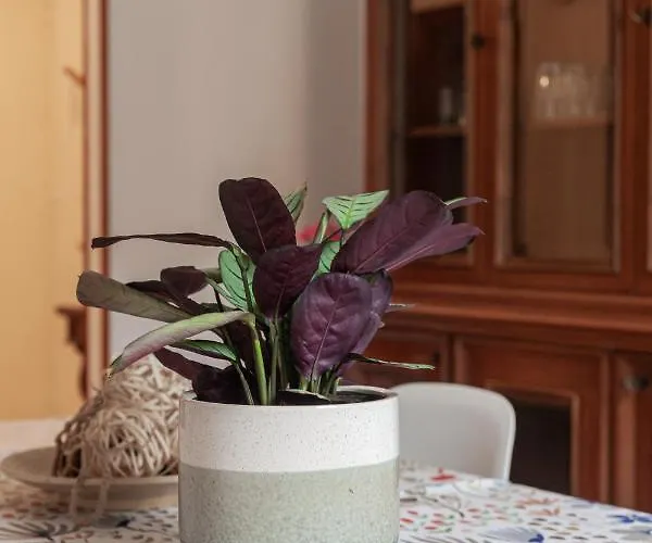 Il Melograno House Appartement Rome